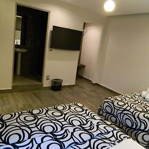 Standard Double Room Two Double Beds